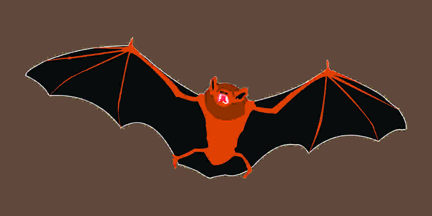 Vector 1
